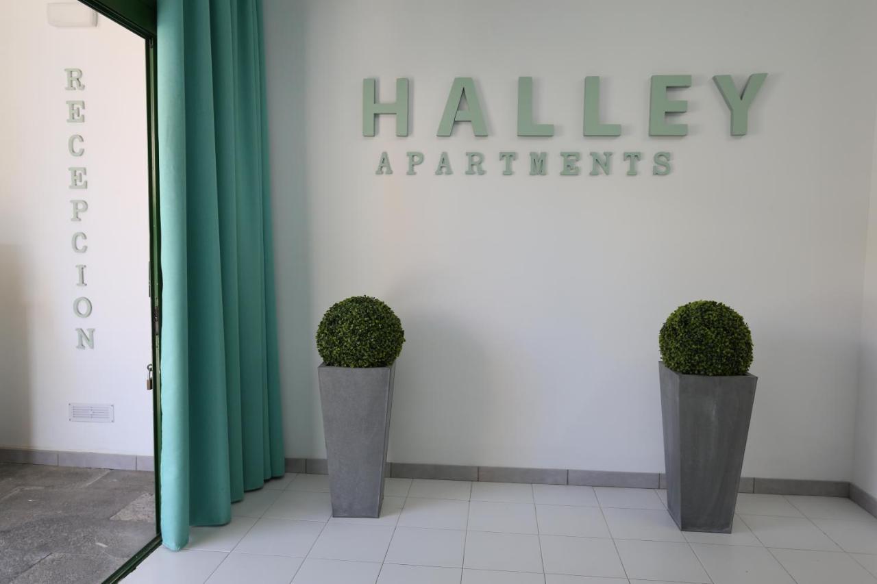 Halley Rooms Mogán Buitenkant foto
